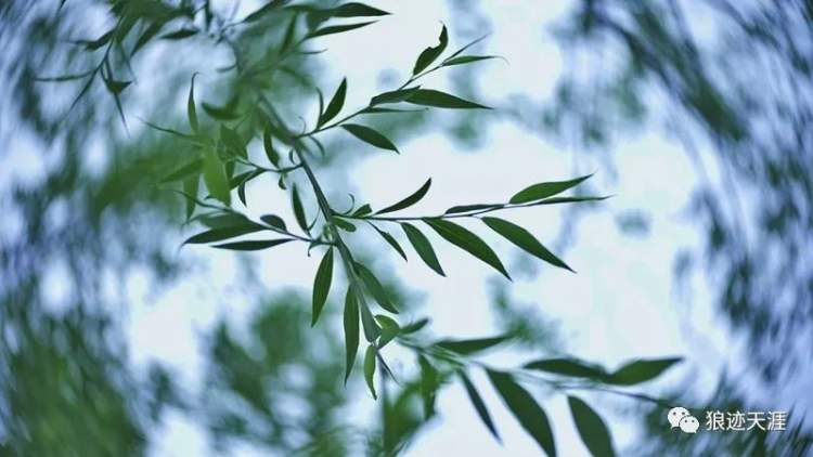 哪一年是农历三月三清明,农历二月廿三清明节