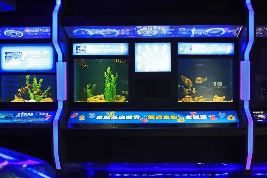 青岛看海旅游自由行攻略,青岛看海旅游攻略