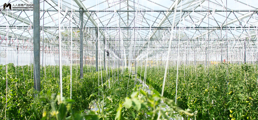 靠谱的农业项目申报,农业项目资金申报流程