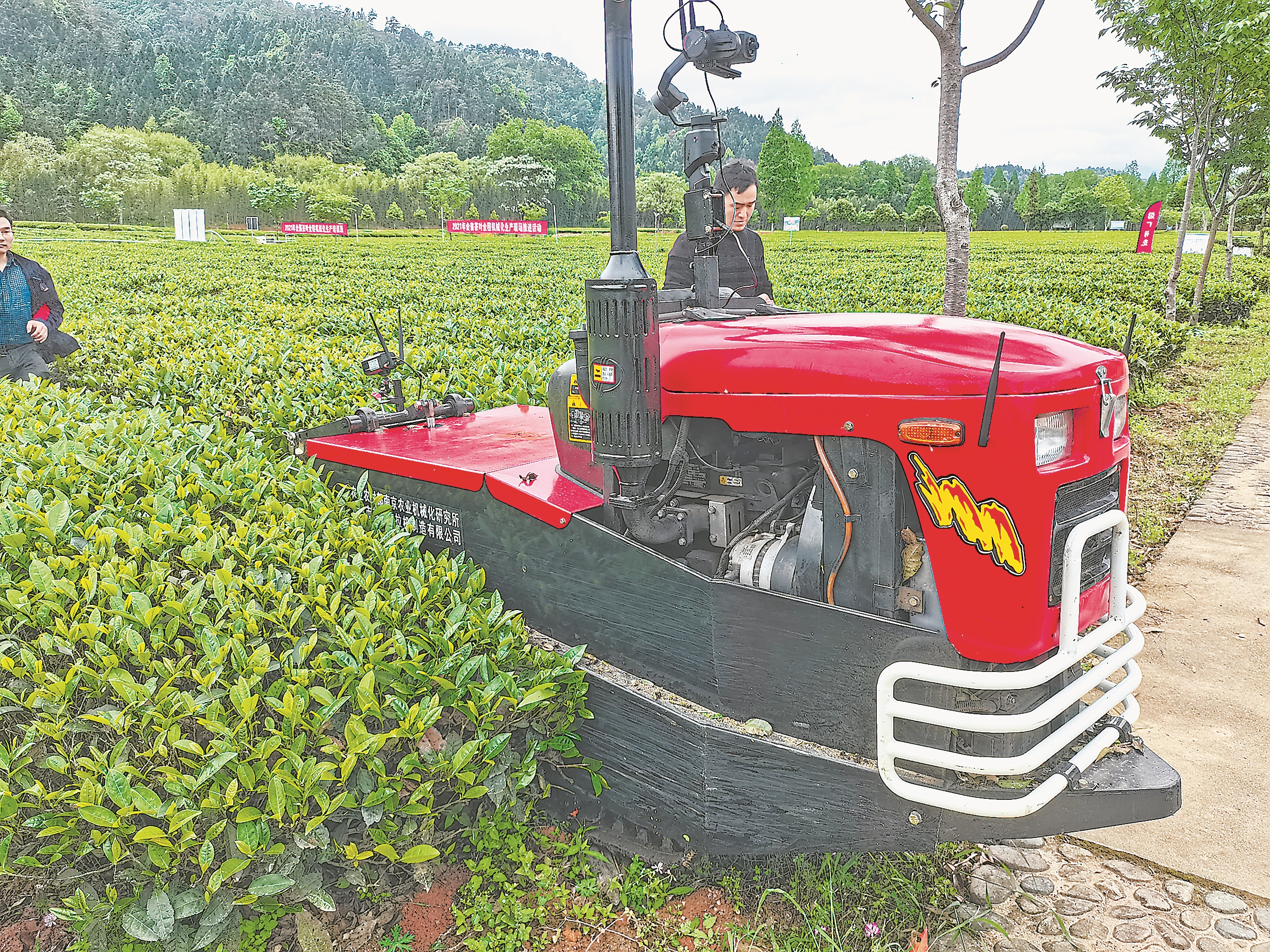 四川茶园管理机,茶园耕田机