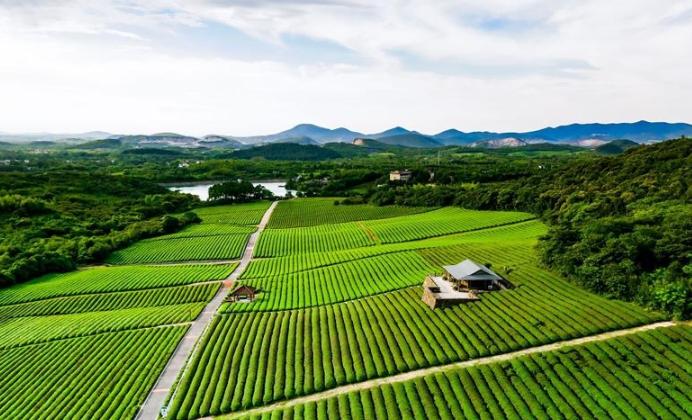 五一无锡民宿,无锡民宿推荐哪家好