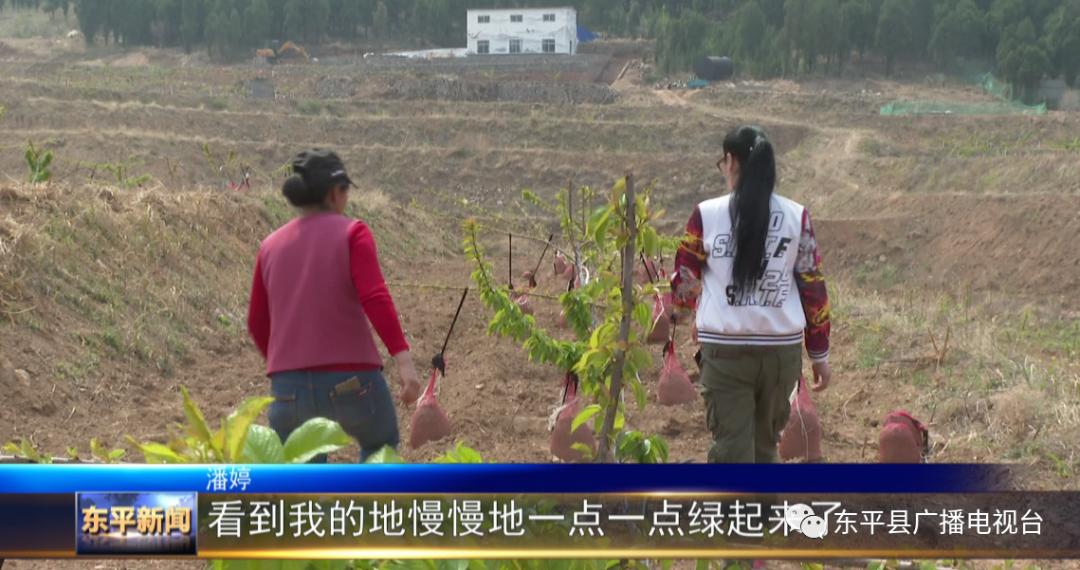 巾帼“愚公”潘婷：誓让荒山换新颜