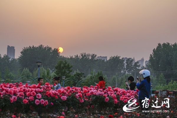 沭阳：“城市客厅”托起“家门口”的幸福感