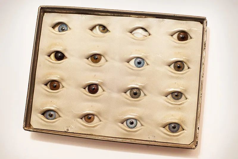 人体解剖的黑暗历史,人体解剖的黑暗故事