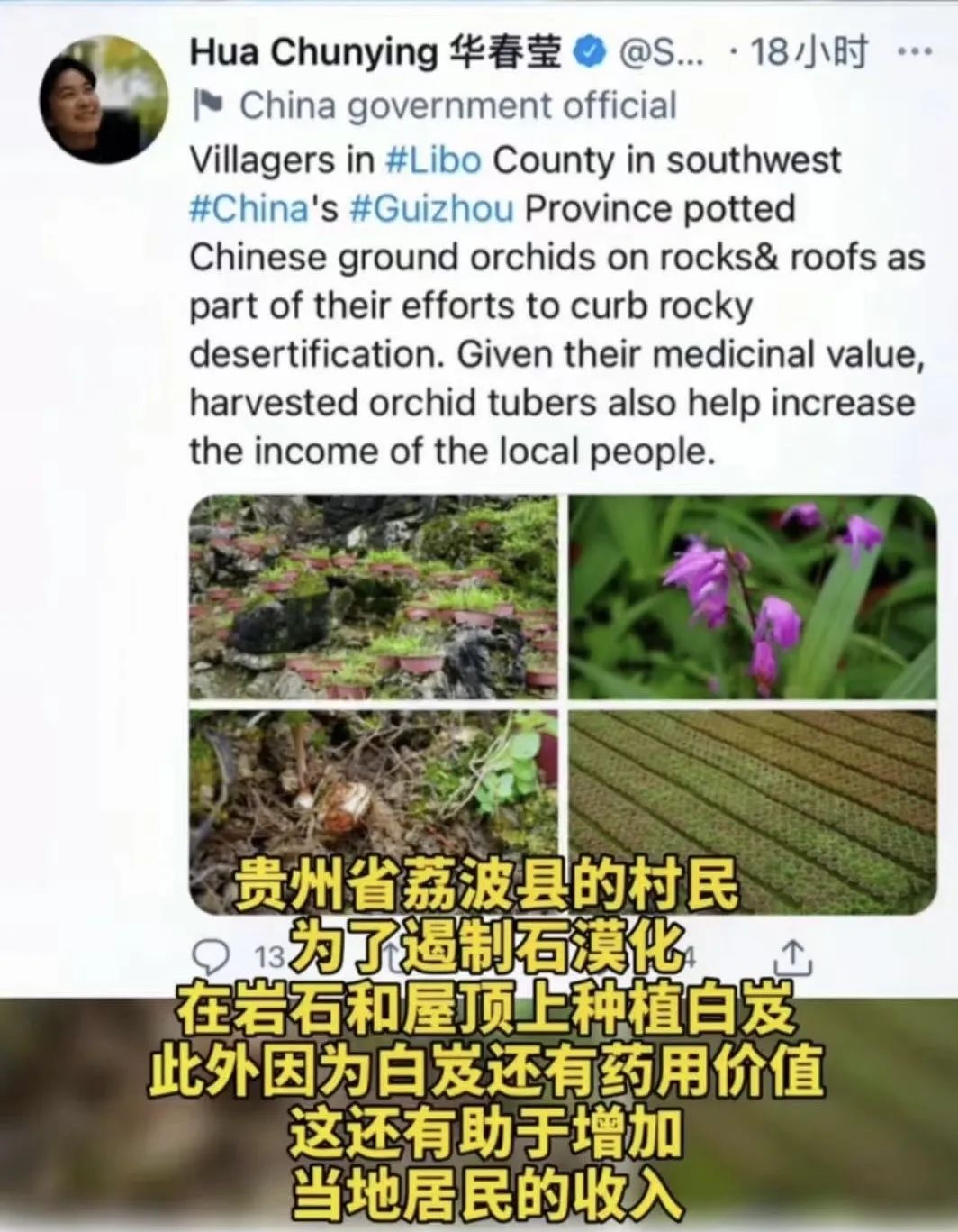 华春莹点赞！荔波白芨火到国外，快进来看看