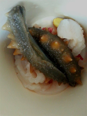 海参鲜汤做法,煲海参汤的做法大全