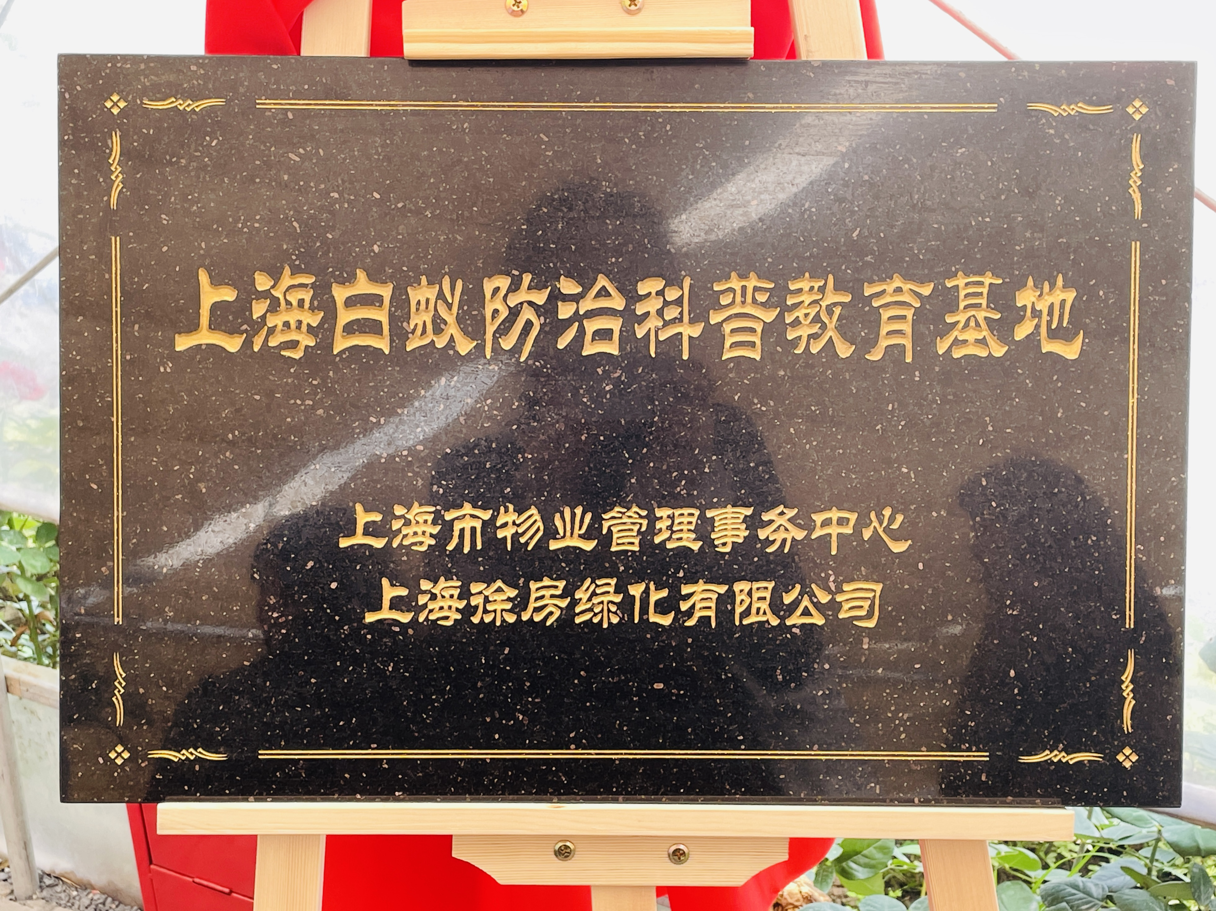 上海徐汇免费杀白蚁,上海白蚁