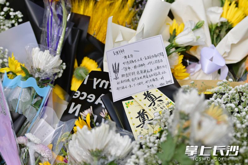 <html>
<head><title>502BadGateway</title></head>
<body>
<center><h1>502BadGateway</h1></center>
<hr><center>nginx</center>
</body>
</html>
<!--apaddingtodisableMSIEandChromefriendlyerrorpage-->
<!--apaddingtodisableMSIEandChromefriendlyerrorpage-->
<!--apaddingtodisableMSIEandChromefriendlyerrorpage-->
<!--apaddingtodisableMSIEandChromefriendlyerrorpage-->
<!--apaddingtodisableMSIEandChromefriendlyerrorpage-->
<!--apaddingtodisableMSIEandChromefriendlyerrorpage-->
