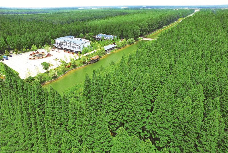 盐城跑马拉松第一名,盐城马拉松对盐城市有好处吗