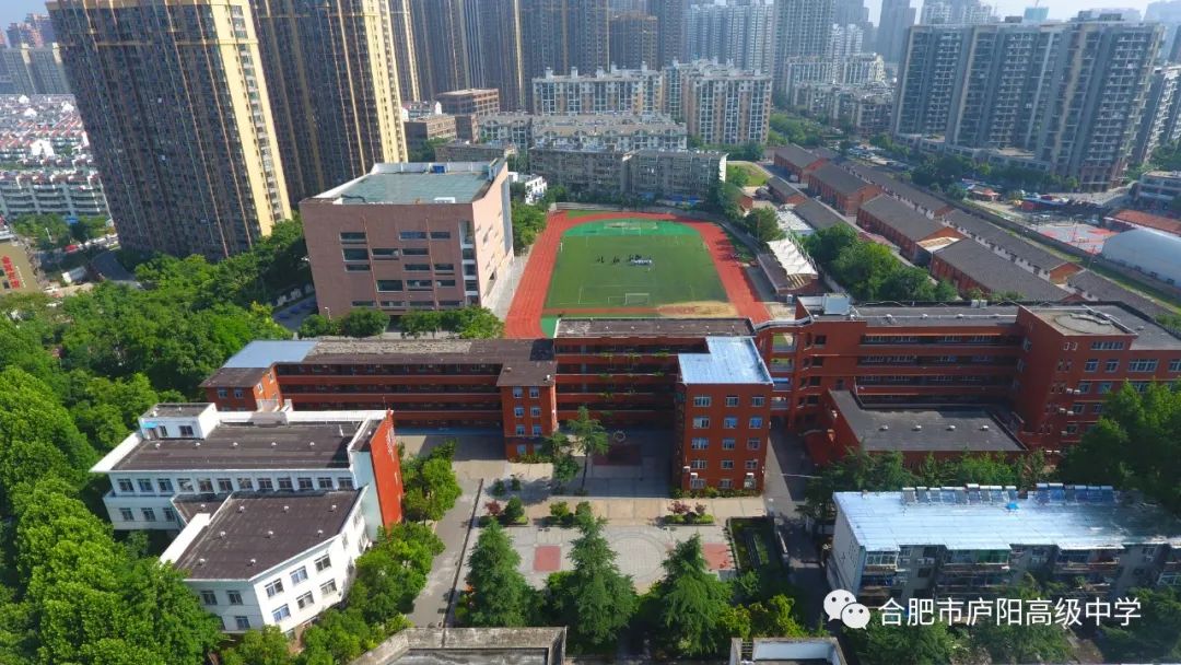 坚持多元育人渠道,创新育人模式为学生成长赋能