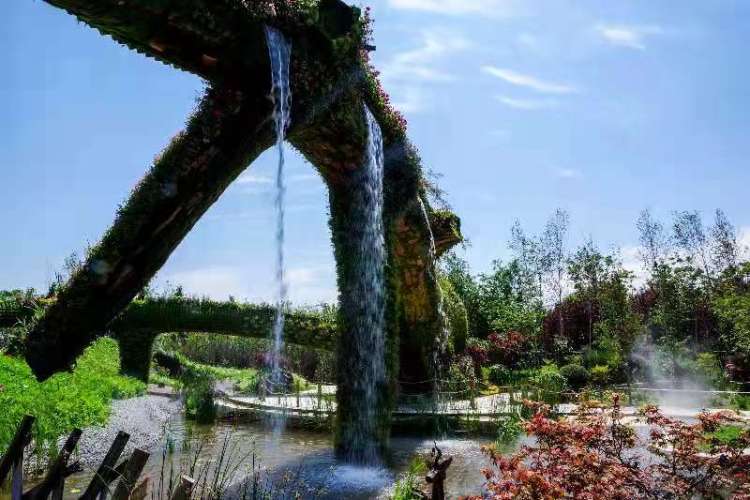 吉林有三宝，人参鹿茸乌拉草！来花博会坐“小火车”欣赏吉林自然风光|花博探馆①