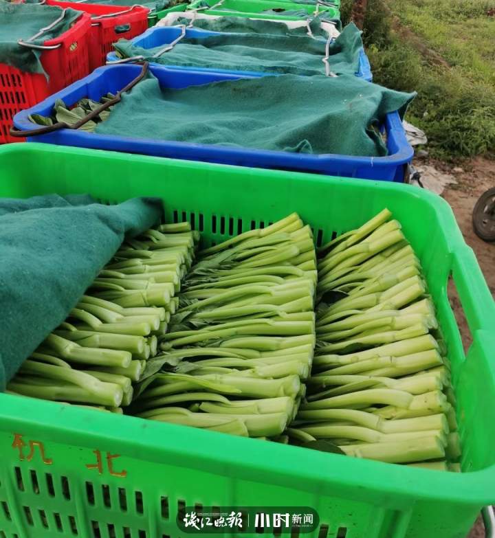 从30年前艮山门摆摊的生姜哥到如今营收好几个亿，杭州“菜王”卢克刚的奋斗史