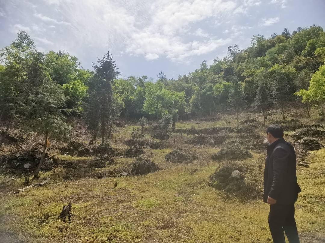 “奋斗百年路，启航新征程”看宣汉④：88年前宣汉的这场战役1000多名烈士仅两人留下了名字