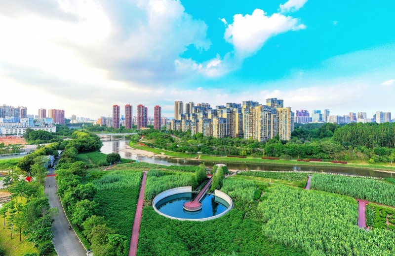 践行我为群众办实事相关工作要求,持续深化我为群众办实事活动