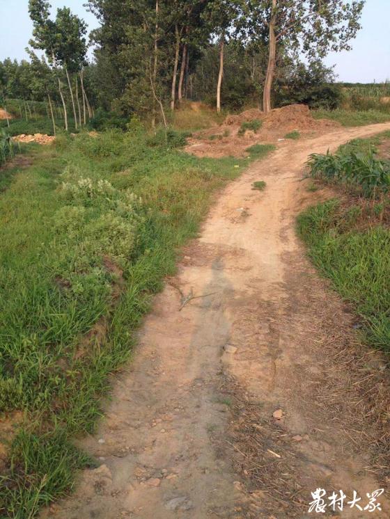 最忆是乡间｜行路