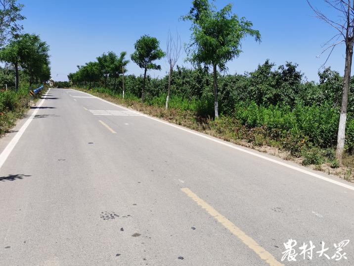 最忆是乡间｜行路