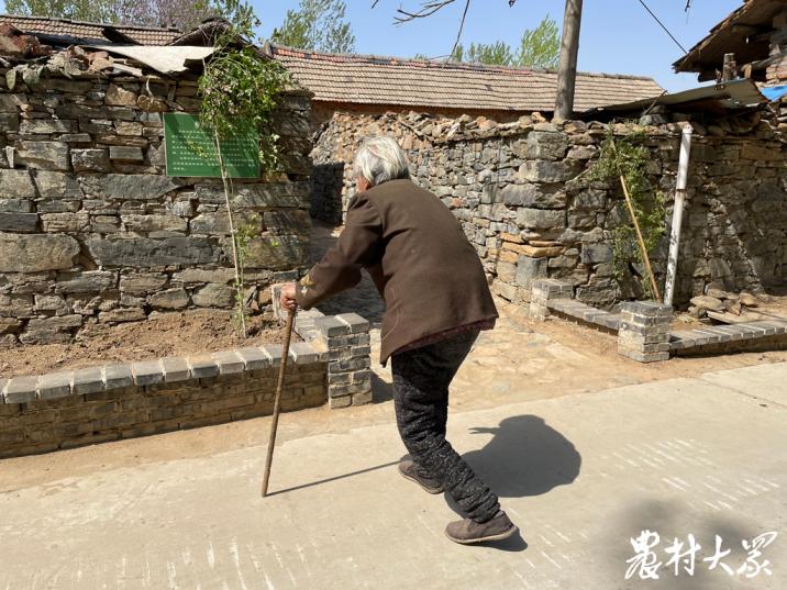 最忆是乡间｜行路