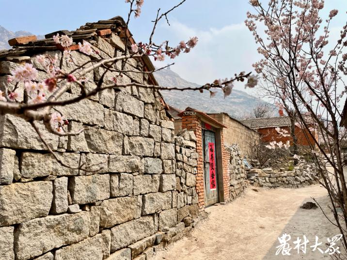 最忆是乡间｜行路