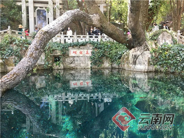 大理景区学生证免票的景点,大理26个a级景区免门票为期一年