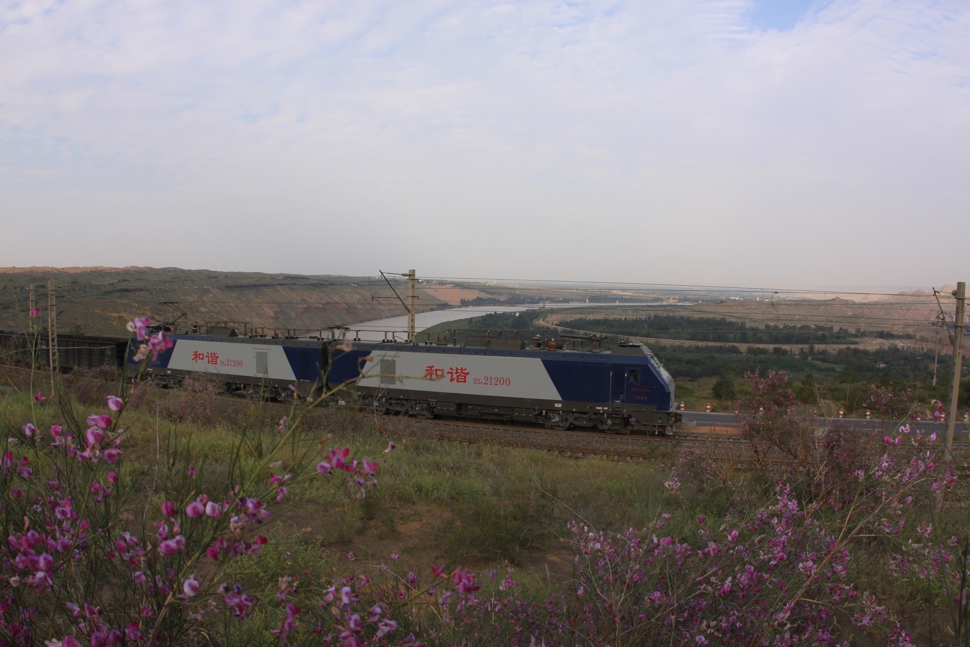 沙坡头沙漠区,沙坡头沙漠大不