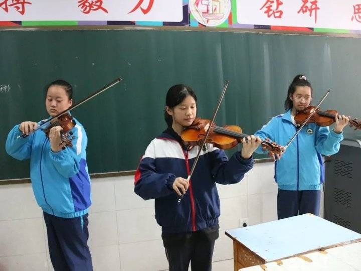 271教育升学率怎么样,对271分权赋能的感悟