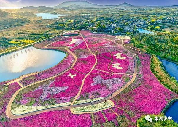 合肥十大网红打卡地风景现场直播,环巢湖大道网红打卡地