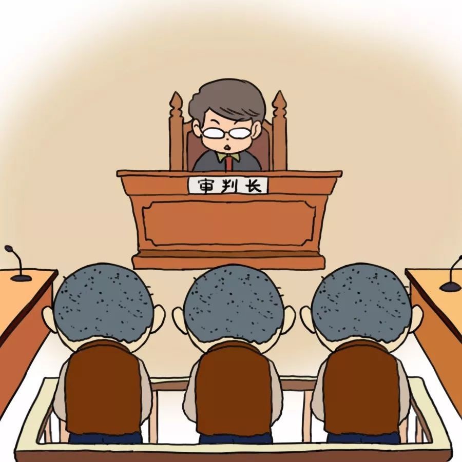 庭审过程从哪可以看,最真实的庭审视频