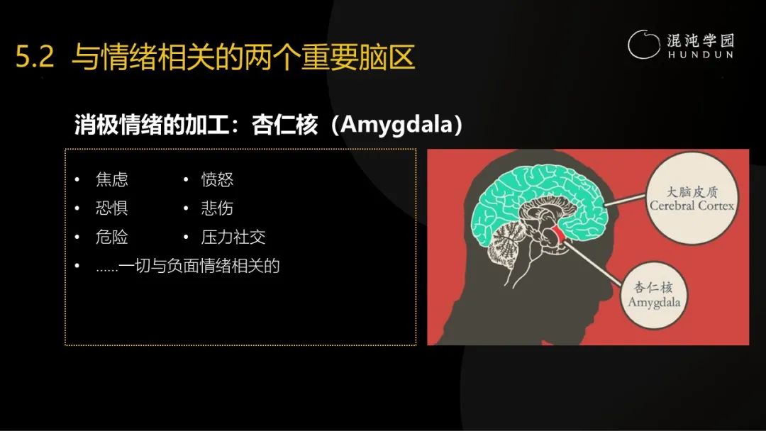 清华大学彭凯平教授：采访了30多位中国卓越企业家，发现成事的秘密难而简单
