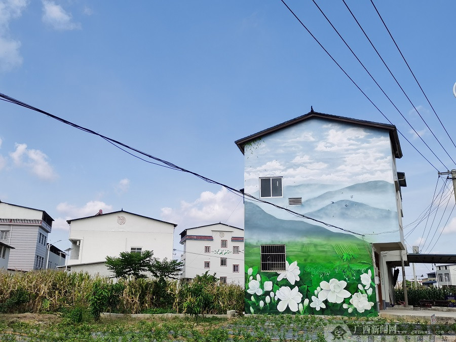 新蔡县黄楼镇党建引领乡村振兴,党建引领乡村振兴徐家坪镇