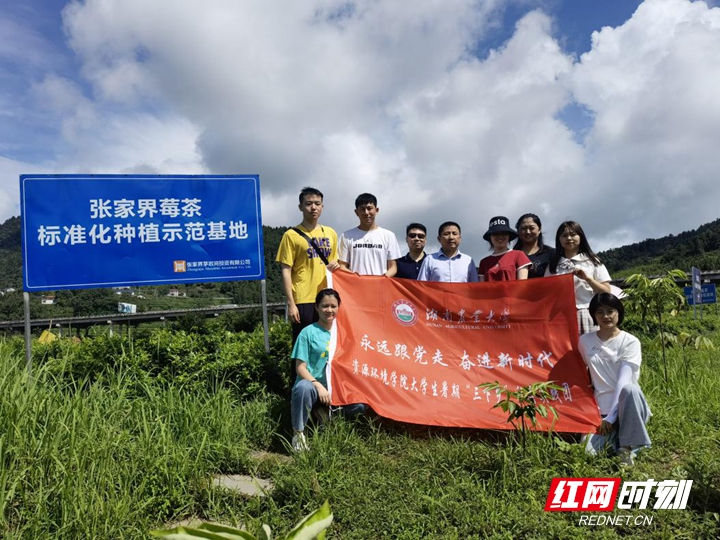 让莓茶产业发展多一份保障——湖南农业大学资环学院助力永定区莓茶产业发展