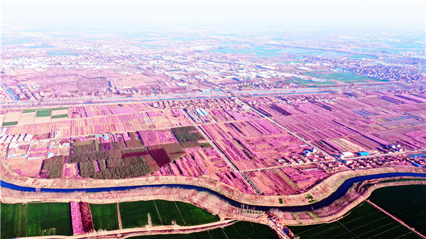 美丽乡村名单江苏沭阳,宿迁沭阳乡村规划