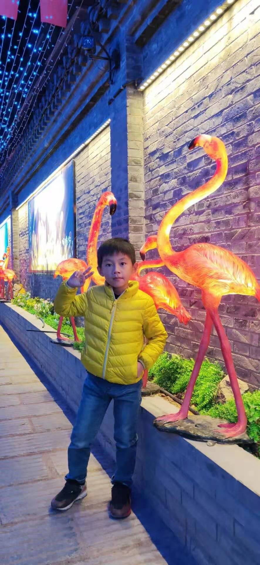 莱山区实验小学宫御航：要当莫言一样的大作家（附视频）