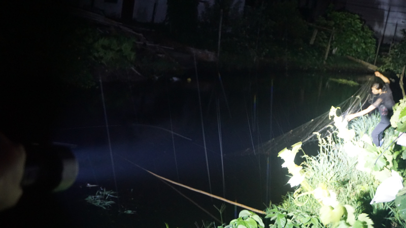 纳拓户外强光手电价格,纳拓户外强光手电筒耐用程度