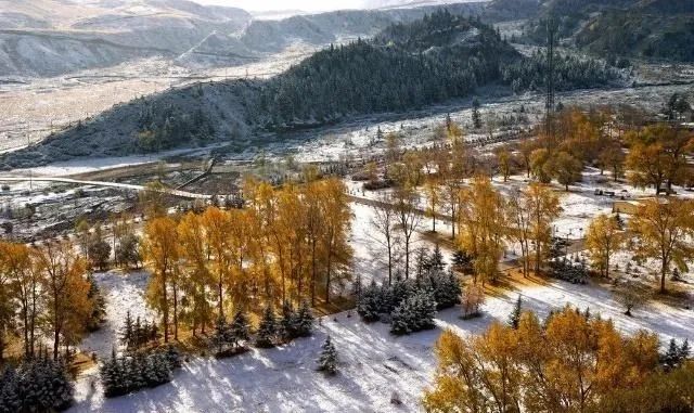 凉州词古诗的美景,凉州词中描写风光的诗句是