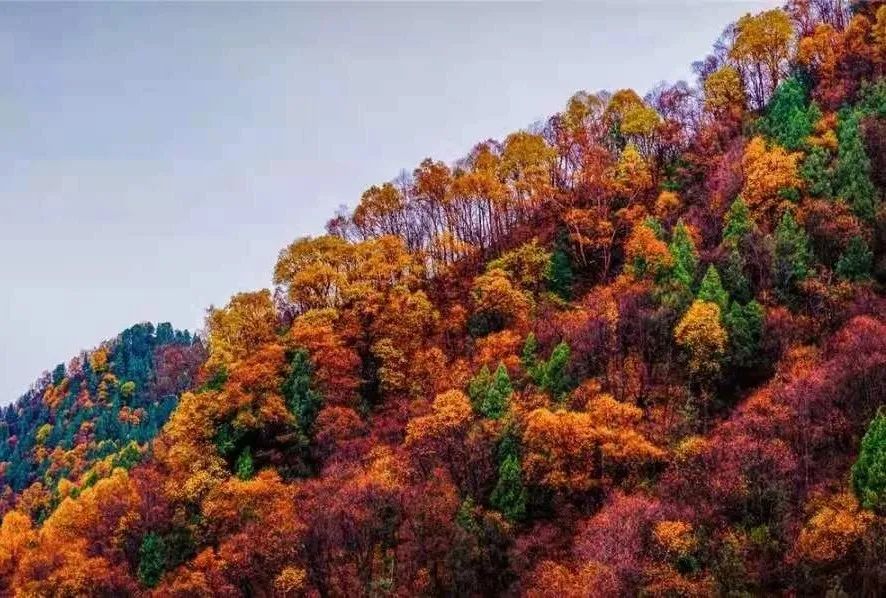 诗词名句赏析凉州诗,凉州古诗词中的诗意