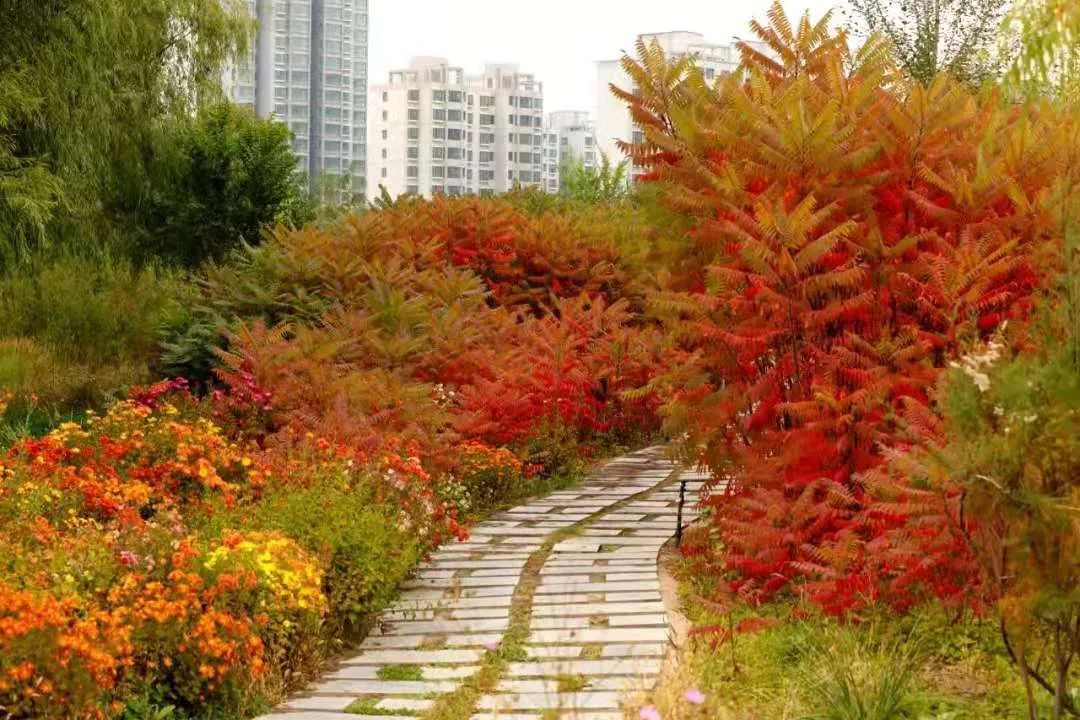 诗词名句赏析凉州诗,凉州古诗词中的诗意