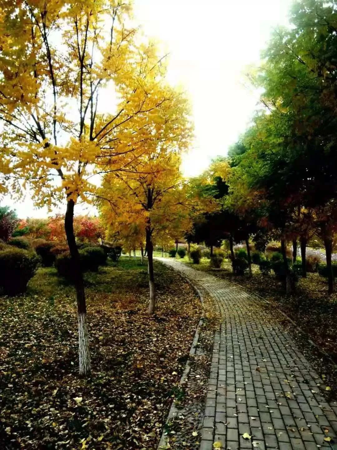 诗词名句赏析凉州诗,凉州古诗词中的诗意