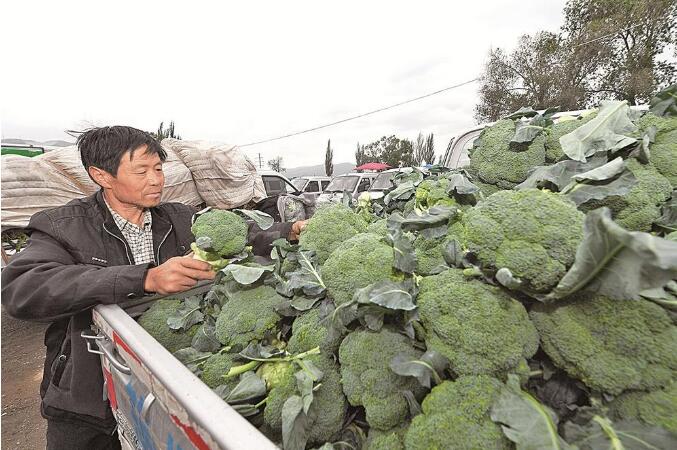 现代美丽幸福大西宁款款而来