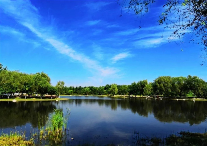 西安经开三小导游词,泾河新城第一中学导游词