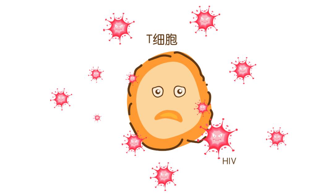 艾滋病病毒疫苗难以研发成功原因,艾滋病疫苗未来前景