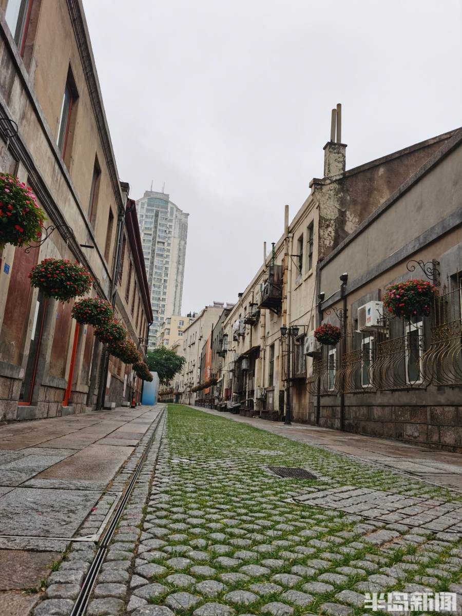 新闻周刊丨老街里，新芳华！200米小巷已吸引13家网红店，这是“一眼看海”前奏曲