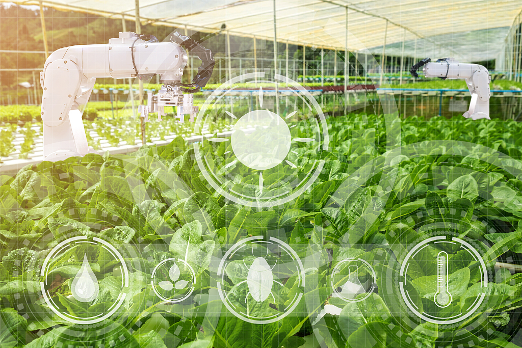 同比增长9.7%！上半年江苏农业实际使用外资2.83亿美元