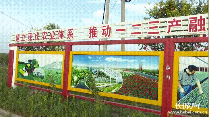 河北故城：科技“硬实力”+农旅“软文化”打造乡村振兴新引擎