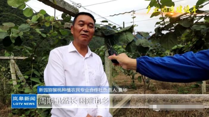 袁华巅峰时期,袁华的巅峰时刻