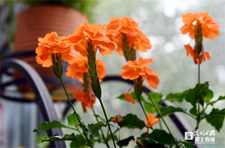 国庆节亲子旅游景点推荐昆明,国庆节旅游景点推荐昆明周边