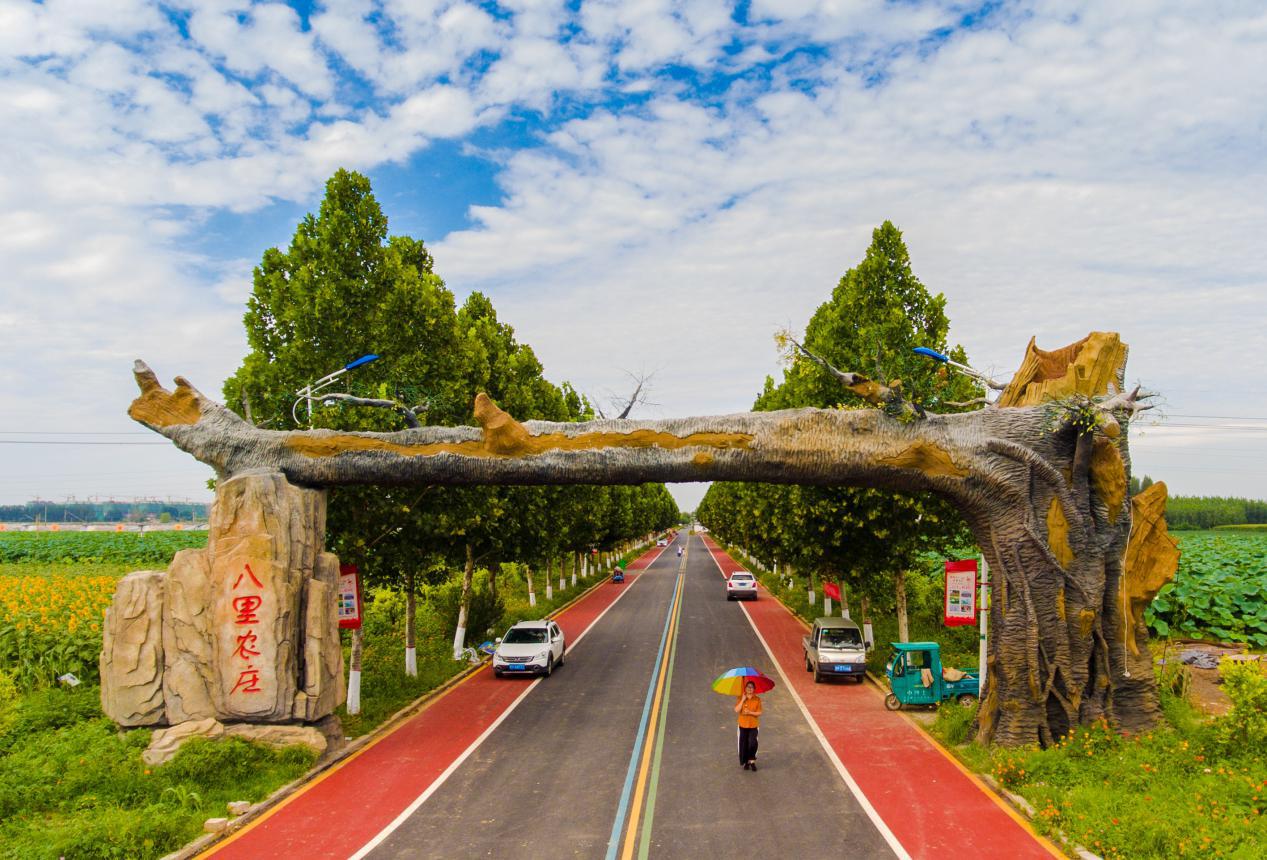 品美食、享农趣、逛集市……秋分，来八里桥过丰收节