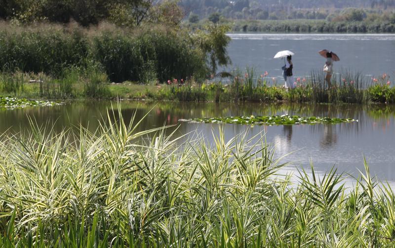 国庆节亲子旅游景点推荐昆明,国庆节旅游景点推荐昆明周边