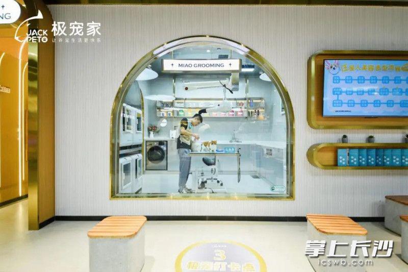 宠物店的爱马仕来了，极宠家华中首店落户长沙