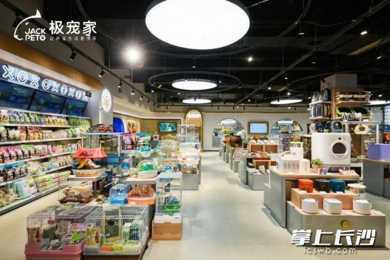 宠物店的爱马仕来了，极宠家华中首店落户长沙