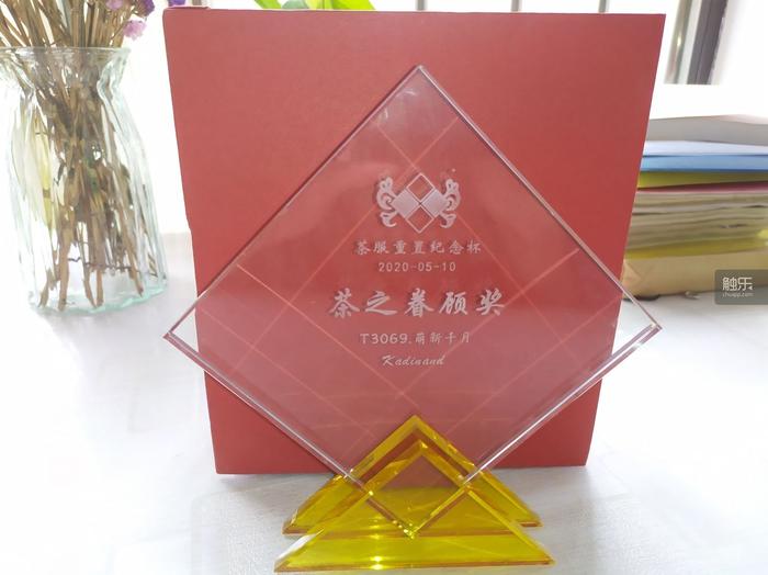 俄罗斯方块免费玩,不会玩俄罗斯方块的人